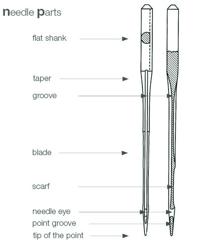 Parts of a Sewing Machine Needle